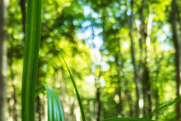 能耗監(jiān)測系統(tǒng)的系統(tǒng)開發(fā)需求之系統(tǒng)性能需求！