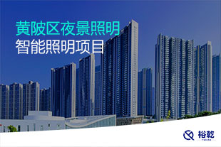黃陂區(qū)夜景照明智能照明項(xiàng)目