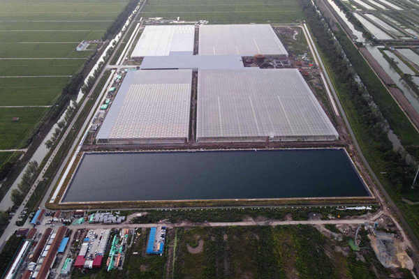 大贊！吉林石化研究院創(chuàng)新環(huán)境監(jiān)測(cè)業(yè)務(wù)！(圖1)