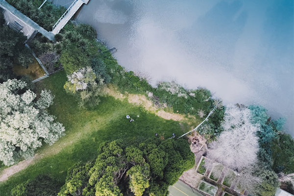 ?焦化行業(yè)碳達峰碳中和行動方案發(fā)布，這幾點值得關(guān)注！